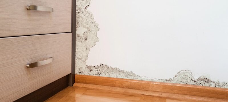 Essential Tips for Florida Homeowners to Prevent Water Damage