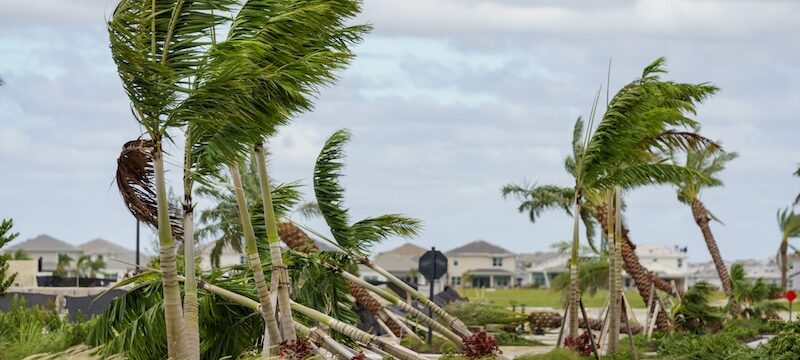 Hurricane Milton Aftermath: Navigating Insurance Claims and Recovery with Harris Insurance